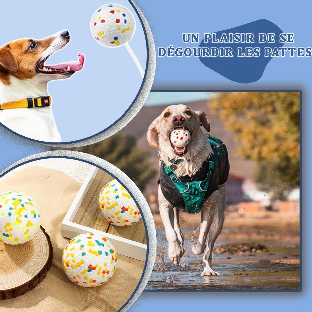 jouet pour chien| Chew ball ™