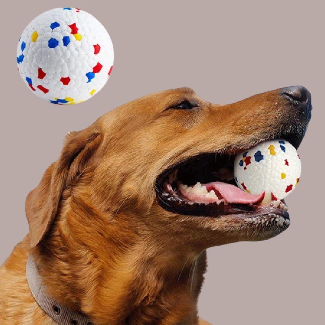 jouet pour chien| Chew ball ™