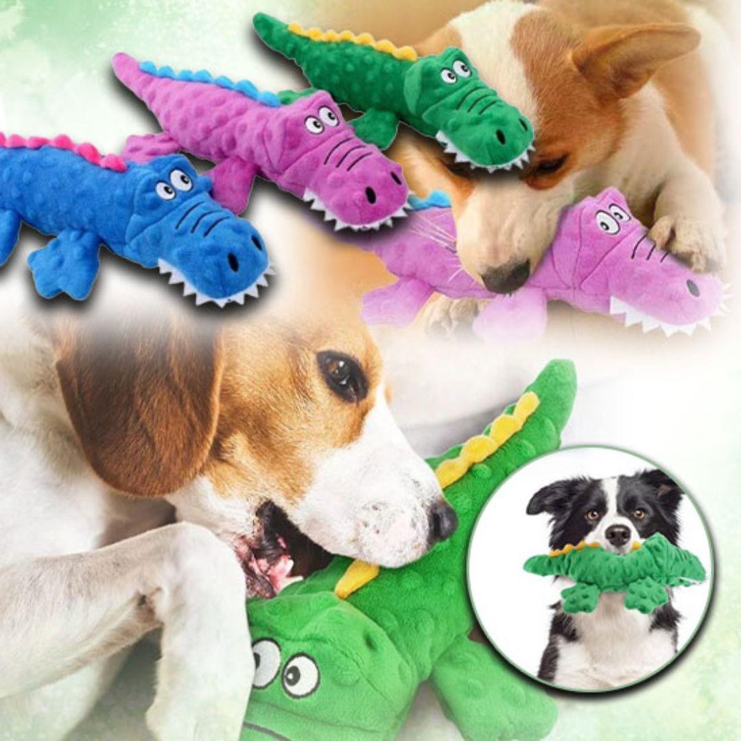 jouet pour chien| Croco™