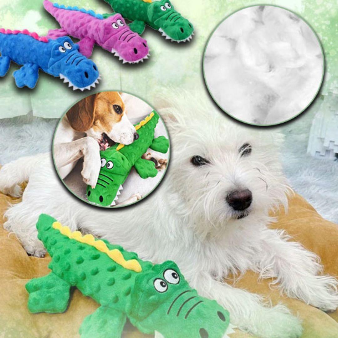 jouet pour chien| Croco™