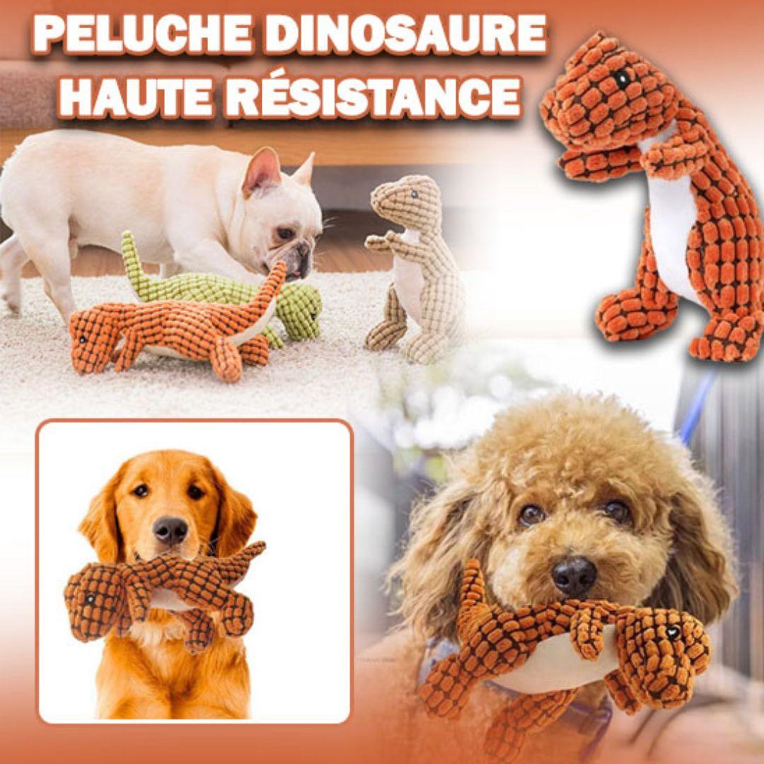 jouet pour chien| Dinocuddly ™