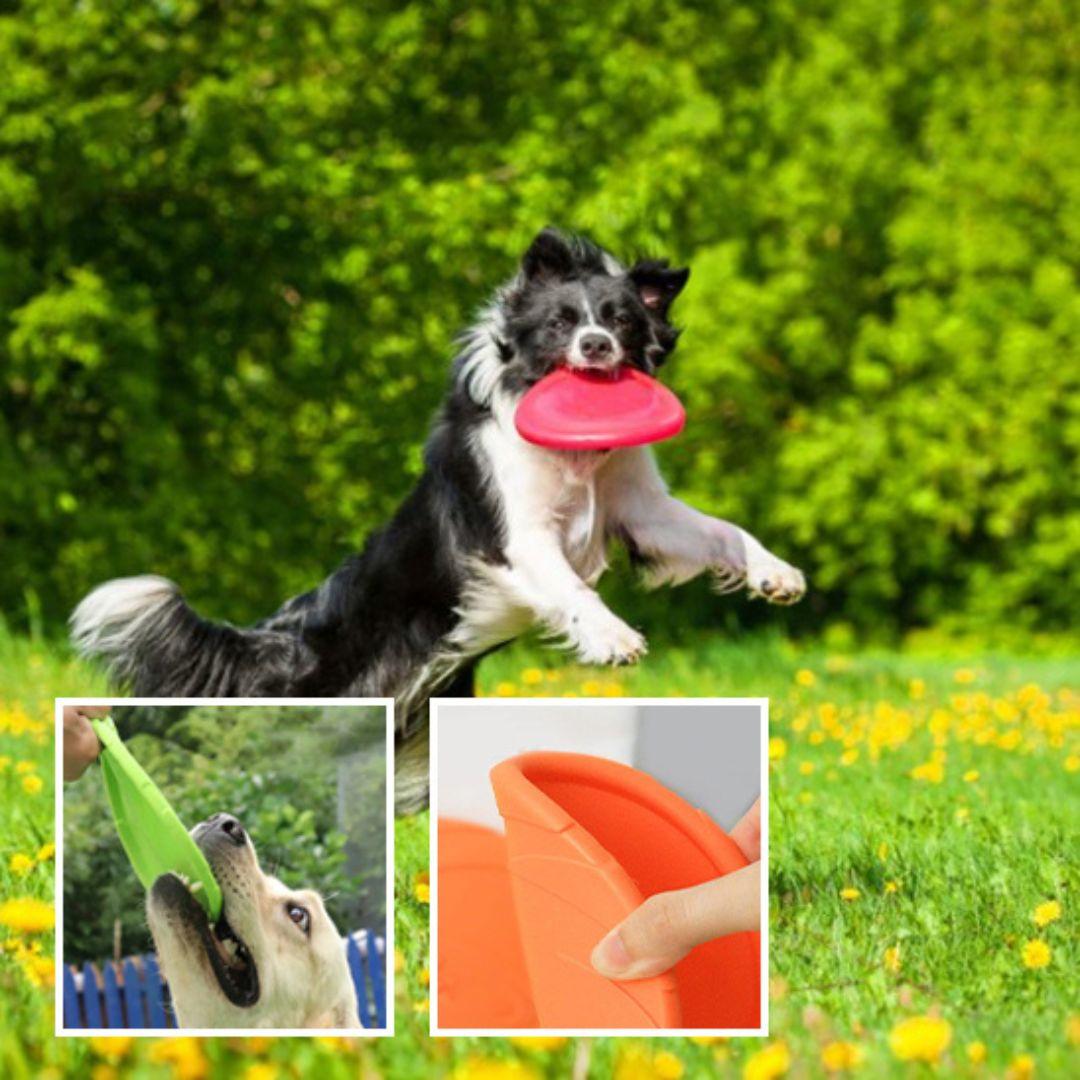 jouet pour chien|Dog fresbee™