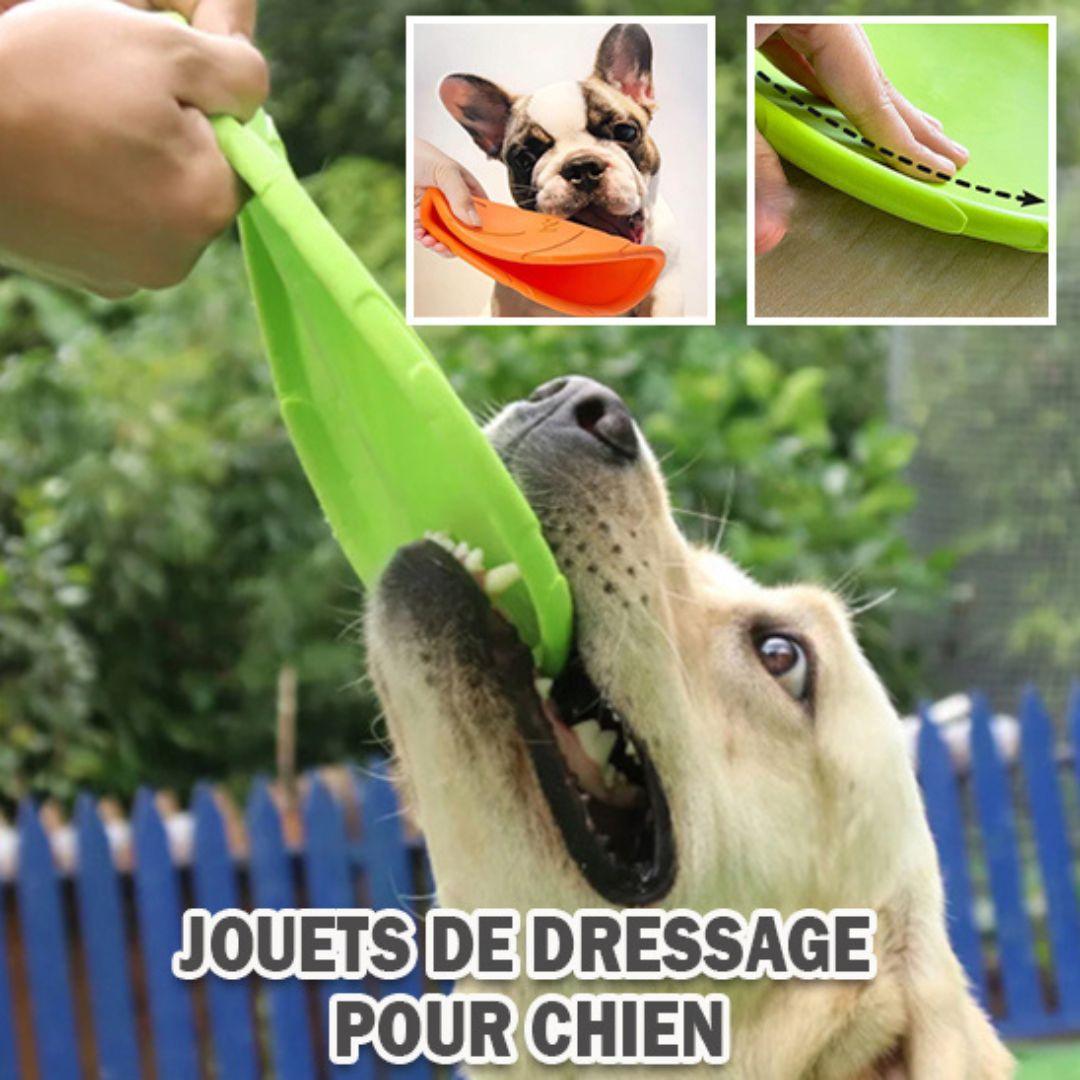 jouet pour chien|Dog fresbee™