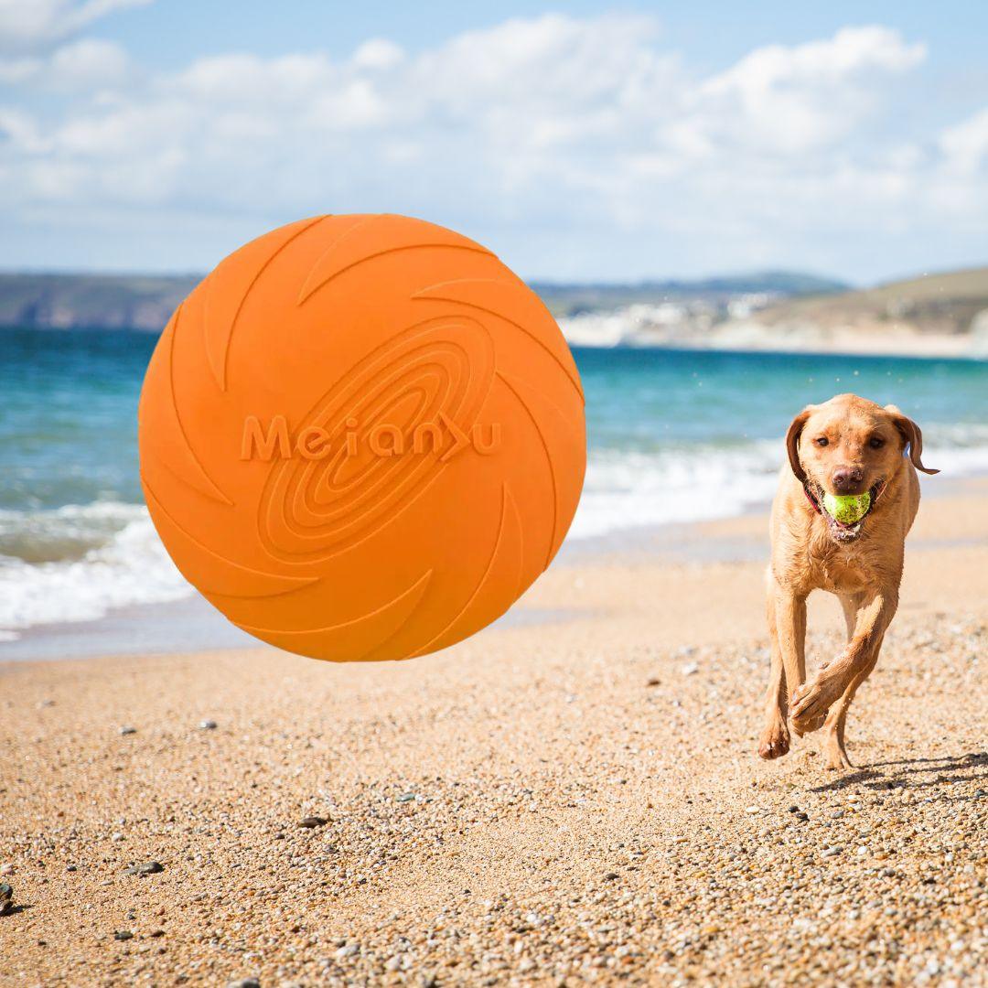 jouet pour chien|Dog fresbee™