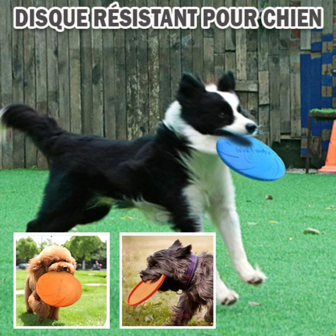 jouet pour chien|Dog fresbee™