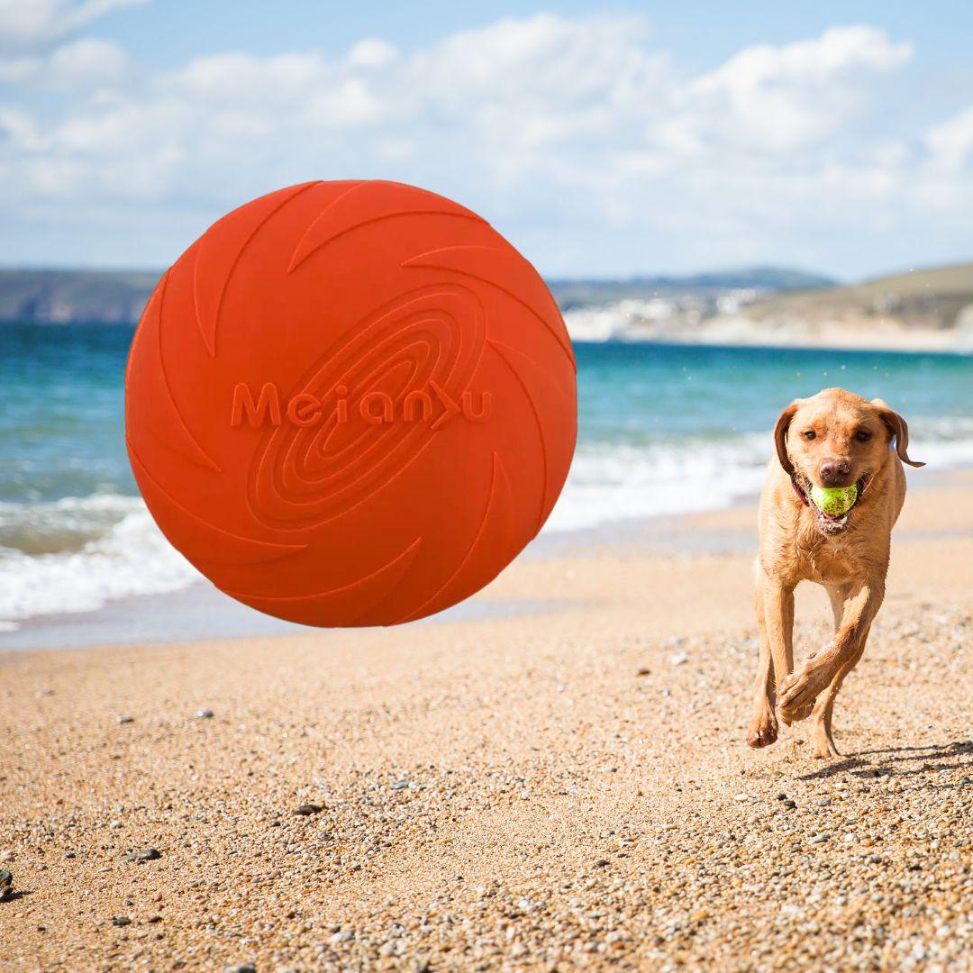 jouet pour chien|Dog fresbee™