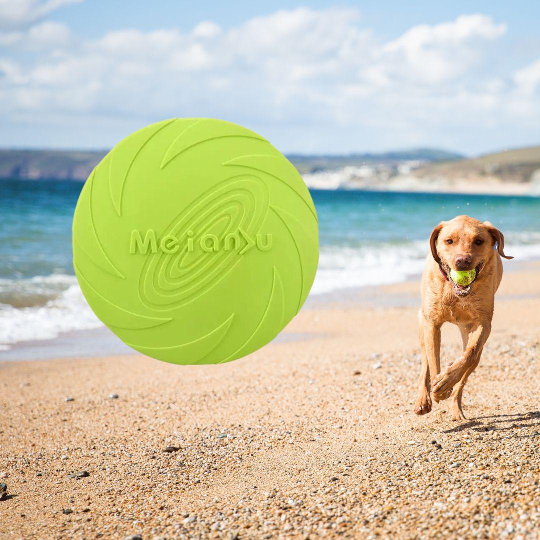 jouet pour chien|Dog fresbee™