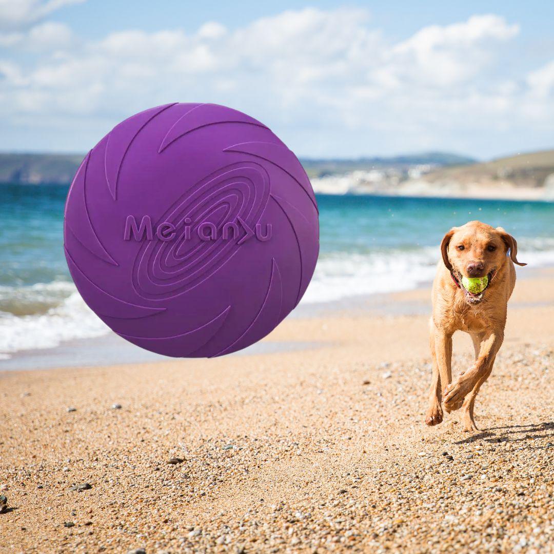 jouet pour chien|Dog fresbee™