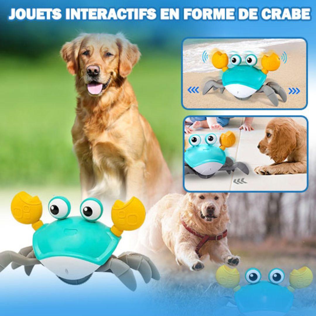 jouet pour chien |Freecrab ™