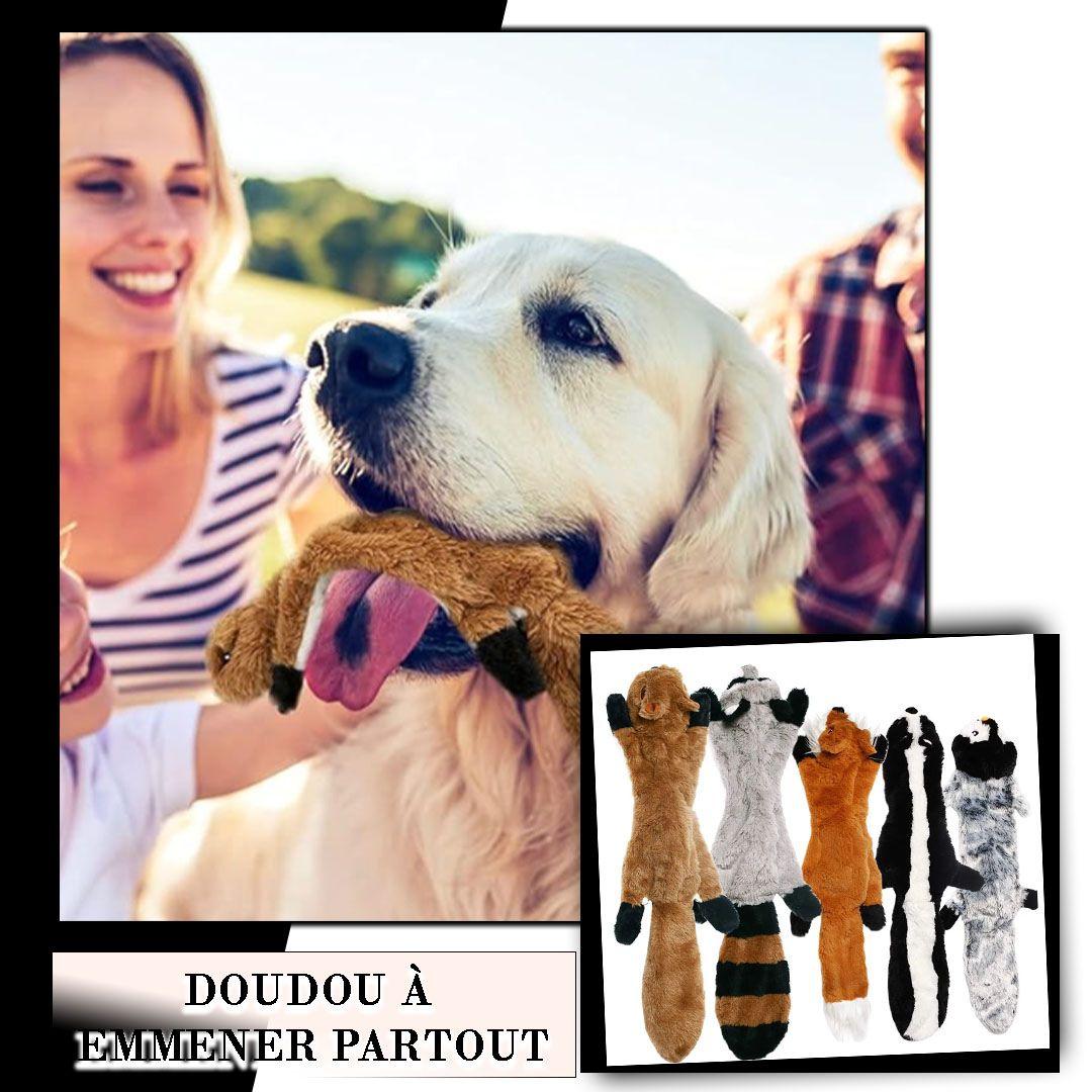 jouet pour chien| Raccoon™