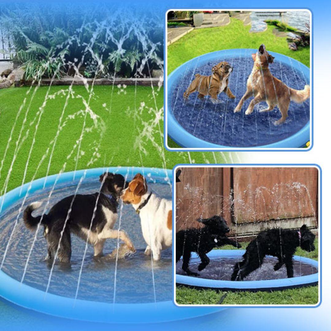 jouet pour chien| Water Point™