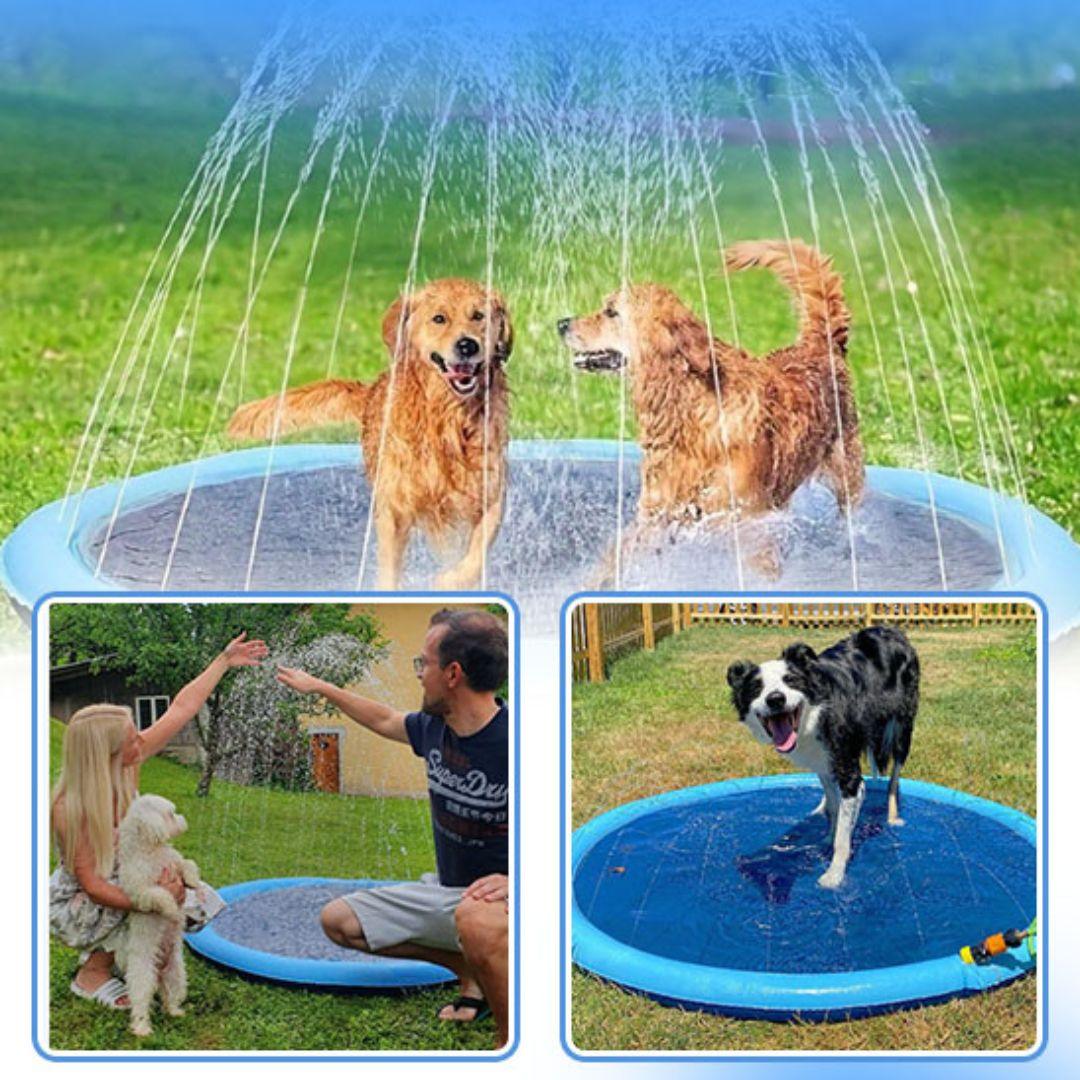 jouet pour chien| Water Point™