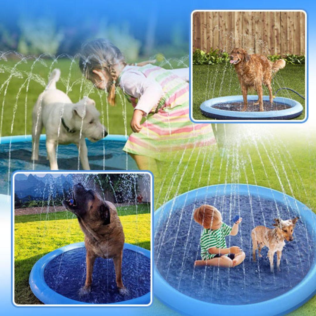 jouet pour chien| Water Point™