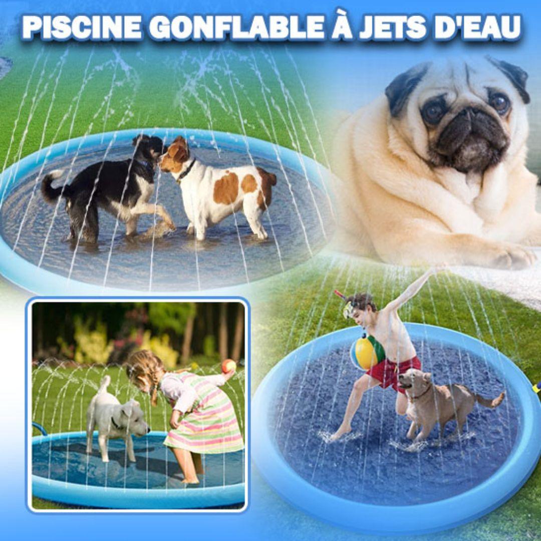 jouet pour chien| Water Point™