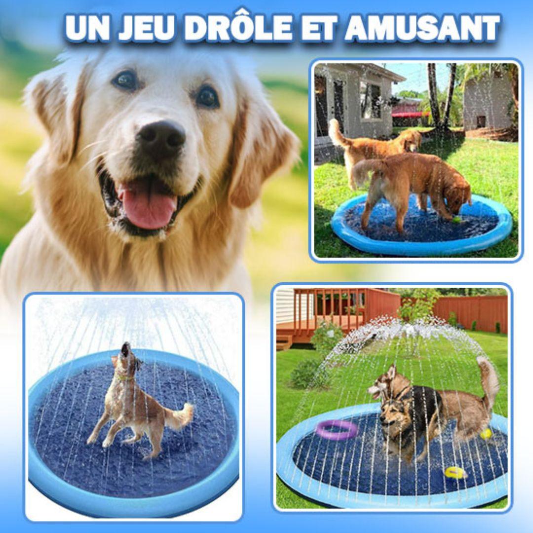 jouet pour chien| Water Point™