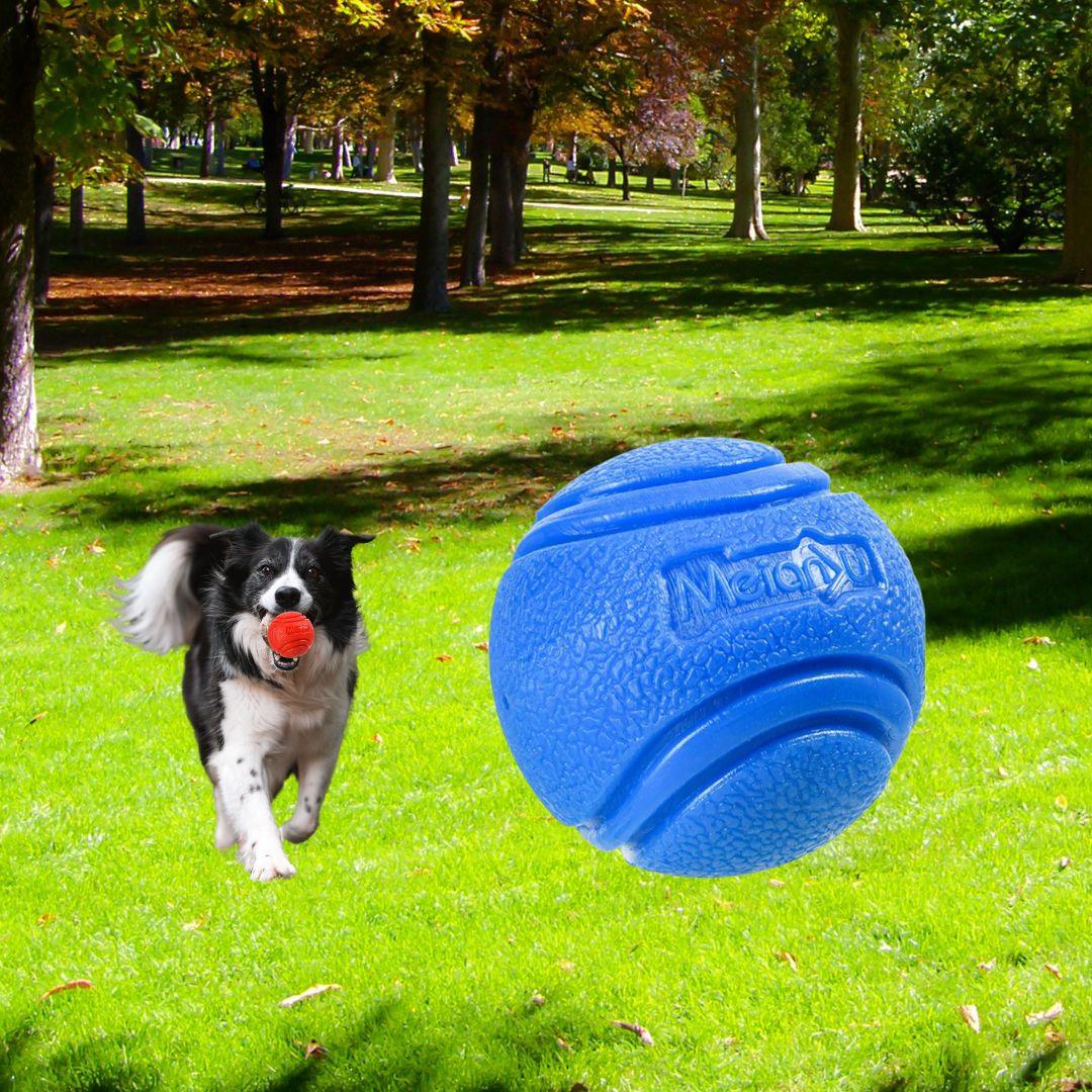 jouet pour chien| Hard ball ™