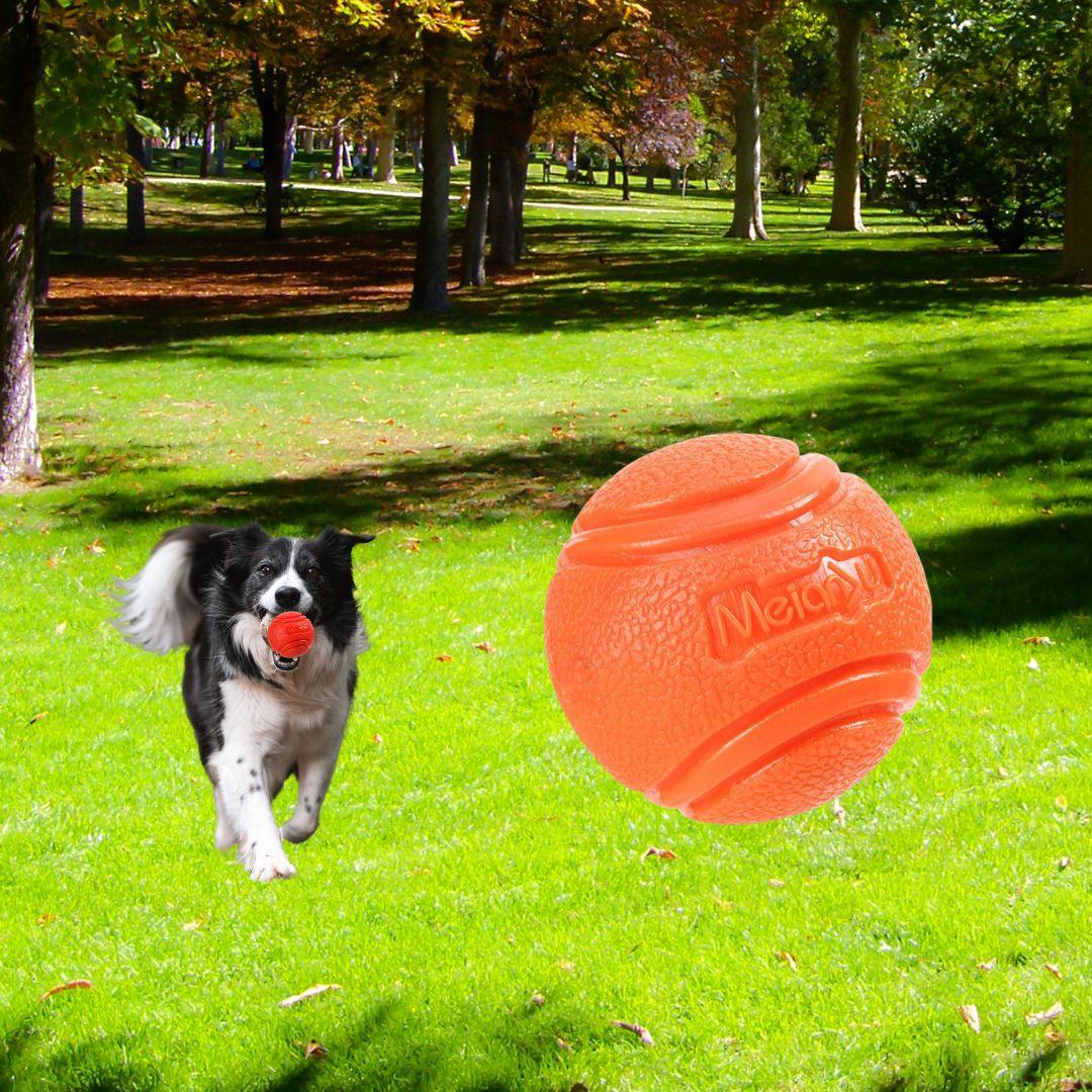 jouet pour chien| Hard ball ™