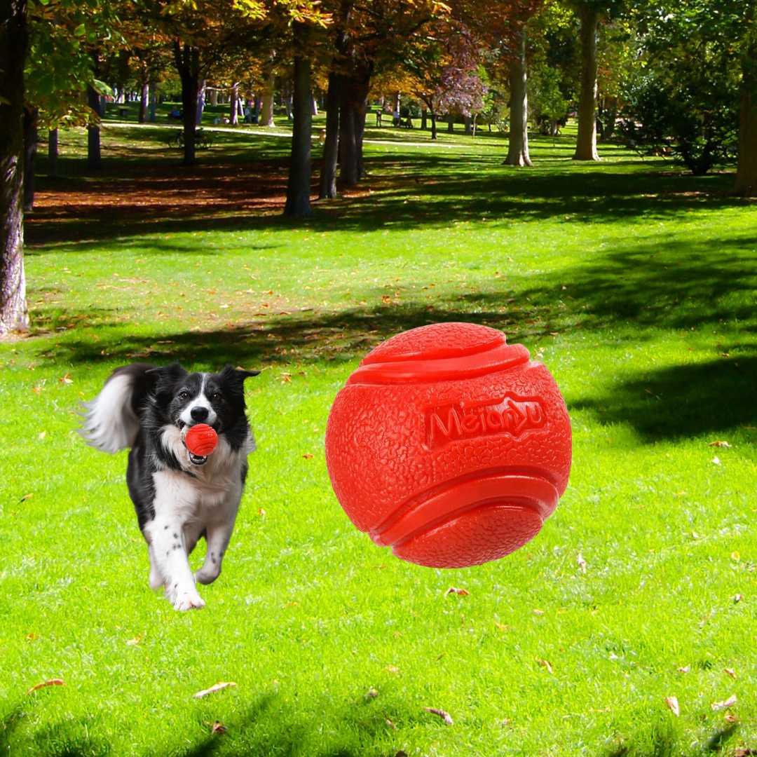 jouet pour chien| Hard ball ™