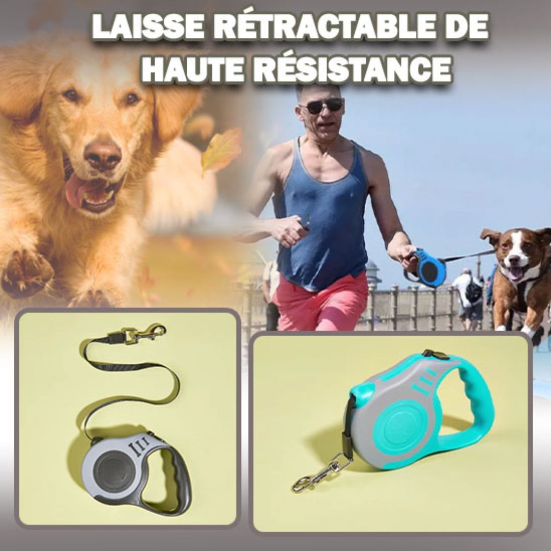 laisse pour chien| Blocking ™