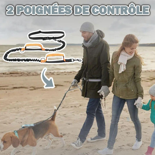 laisse pour chien| Free Leash™