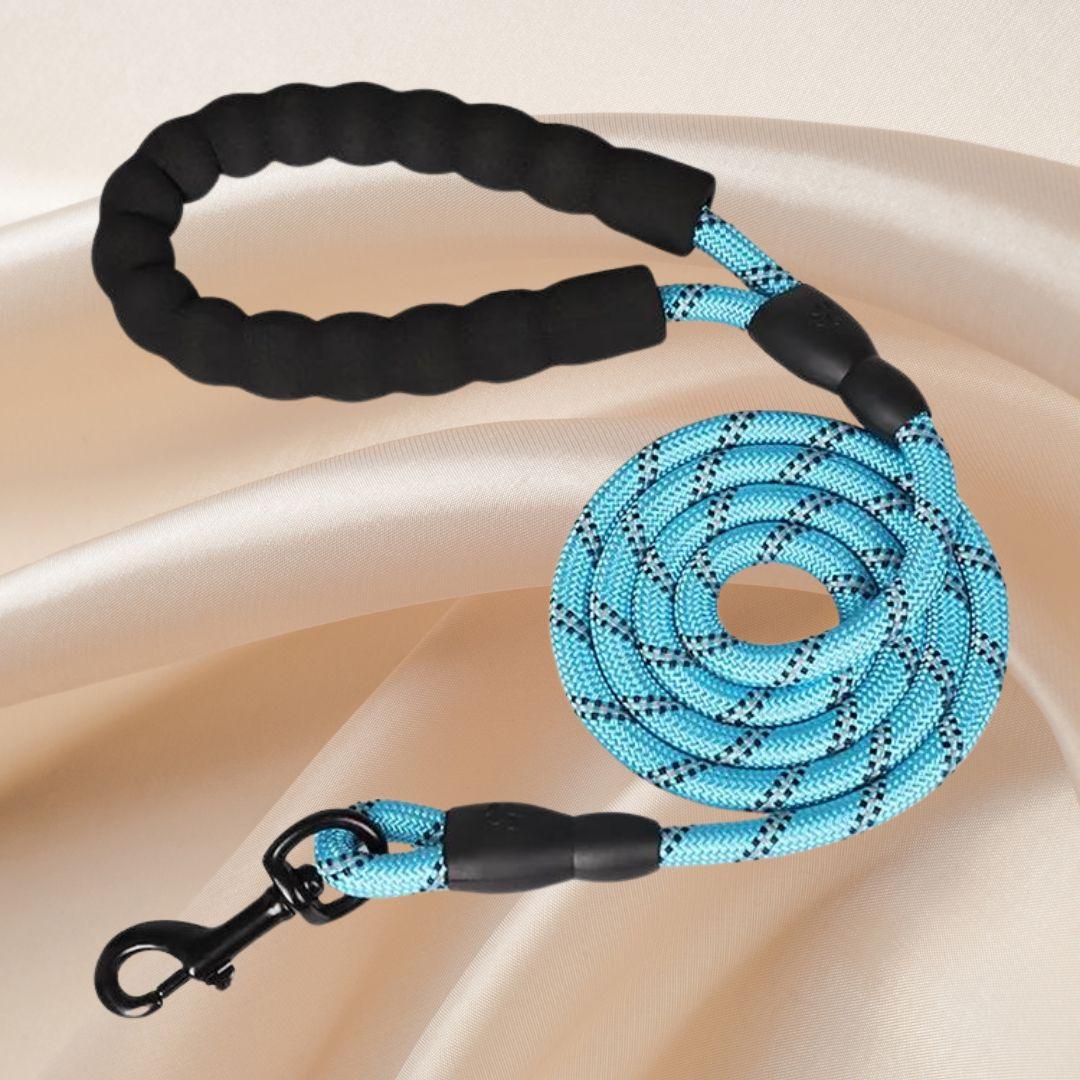 laisse pour chien| Lanyard ™