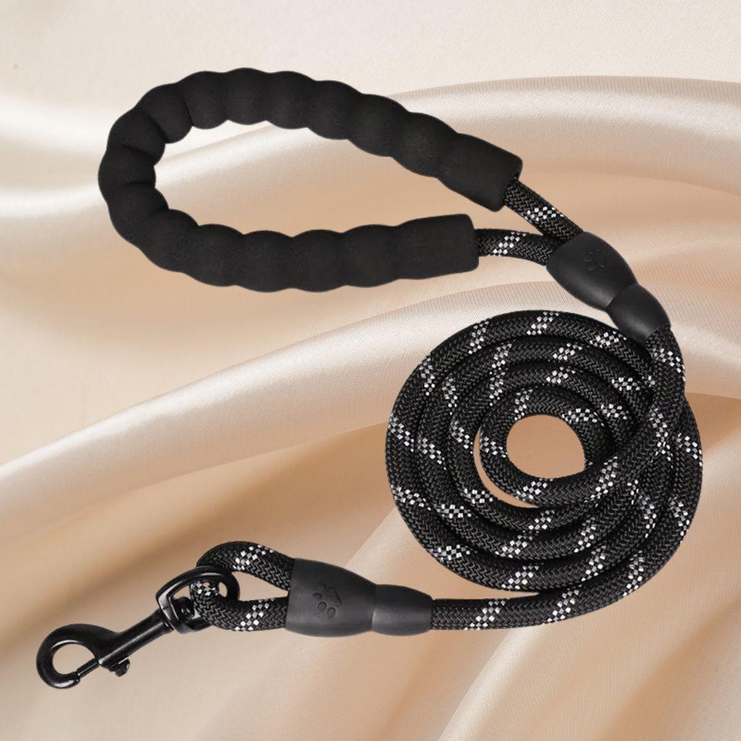 laisse pour chien| Lanyard ™