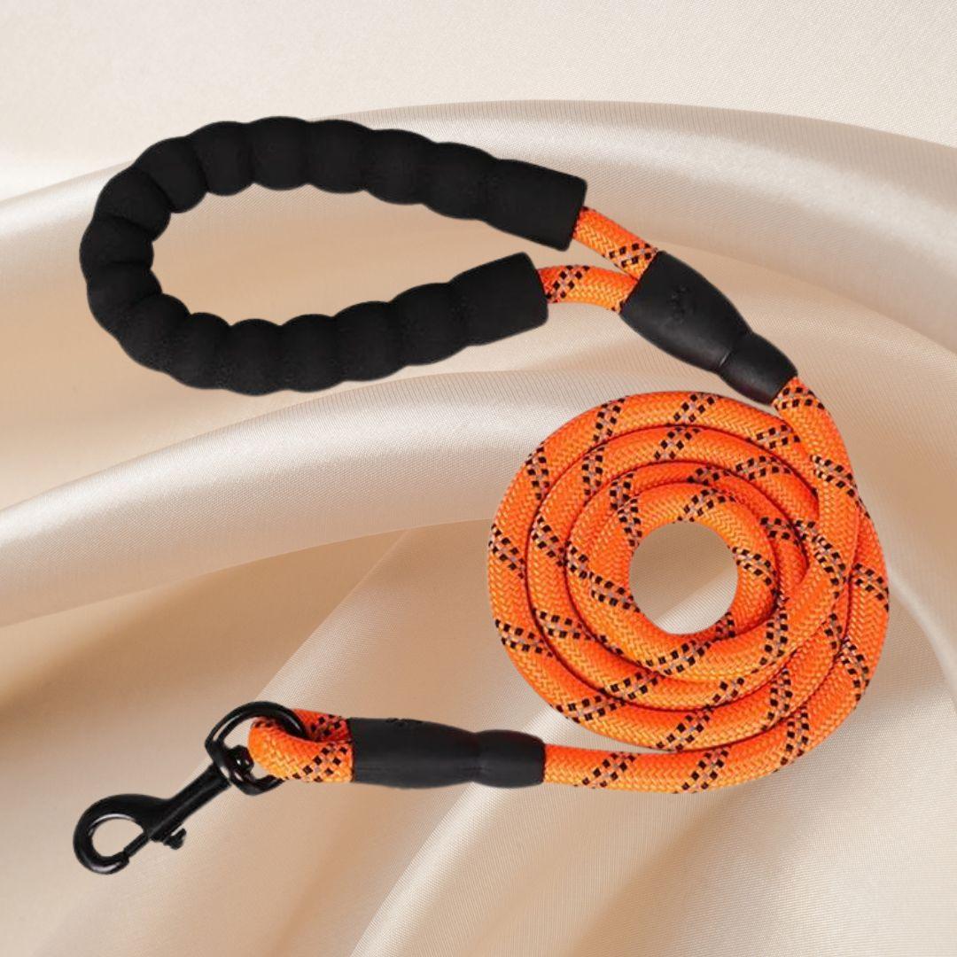 laisse pour chien| Lanyard ™