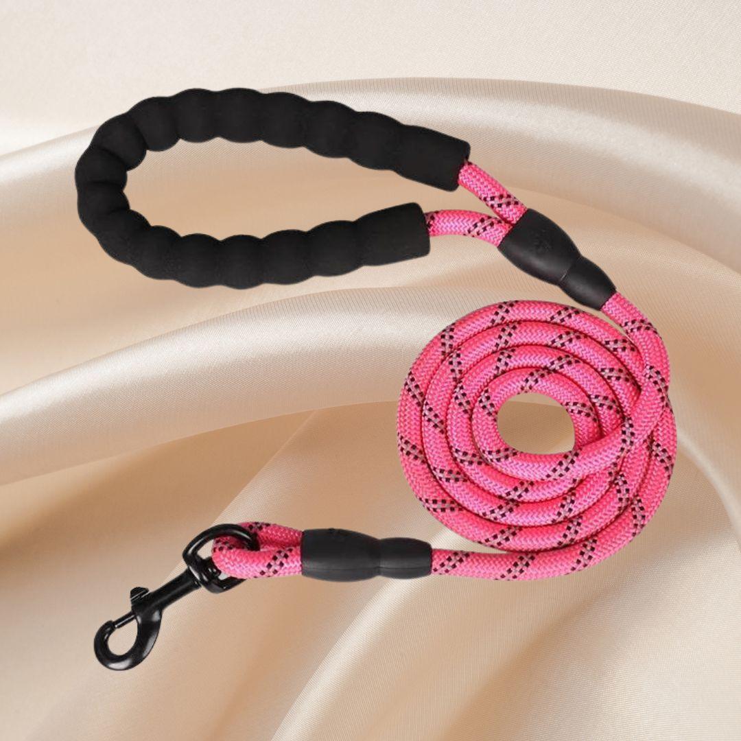 laisse pour chien| Lanyard ™