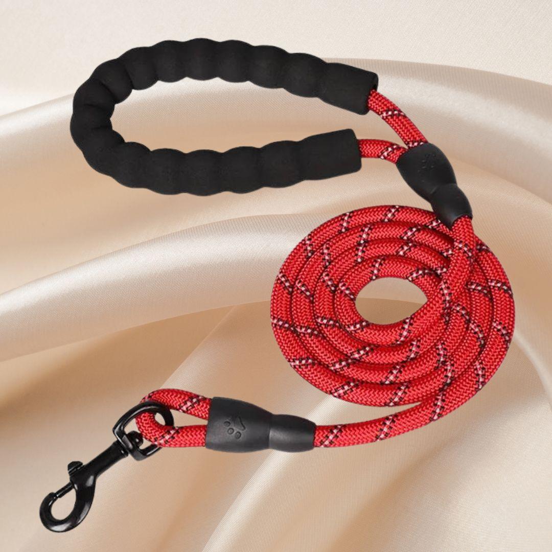 laisse pour chien| Lanyard ™