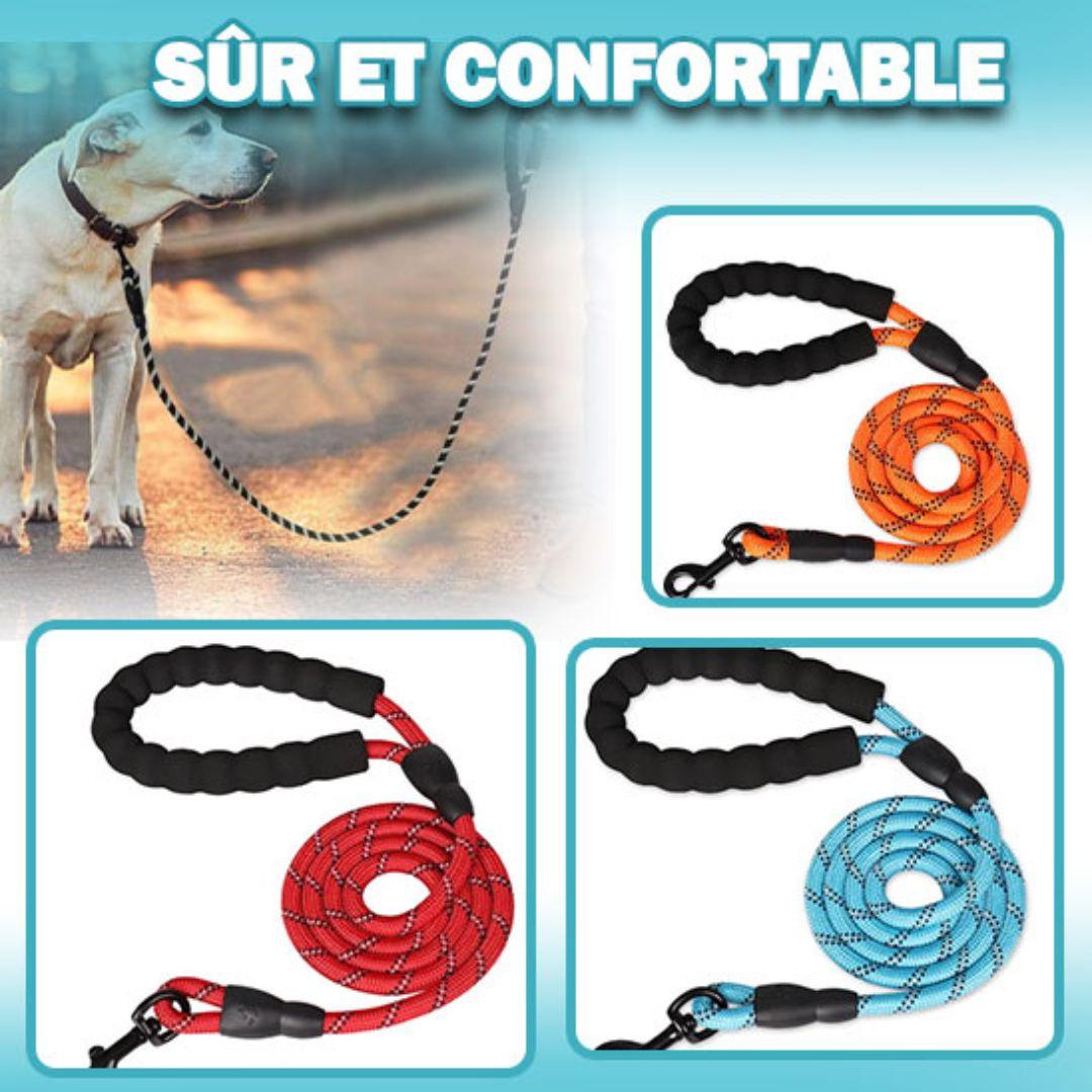 laisse pour chien| Lanyard ™