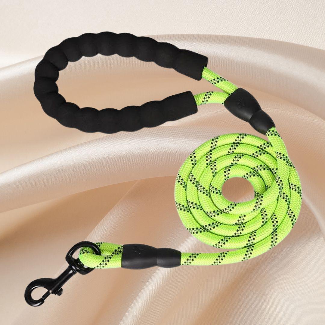 laisse pour chien| Lanyard ™