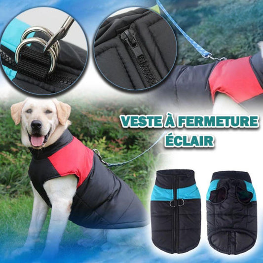 manteau pour chien|  jacket™