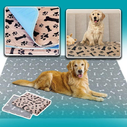 tapis pour chien|Footprint Bone™