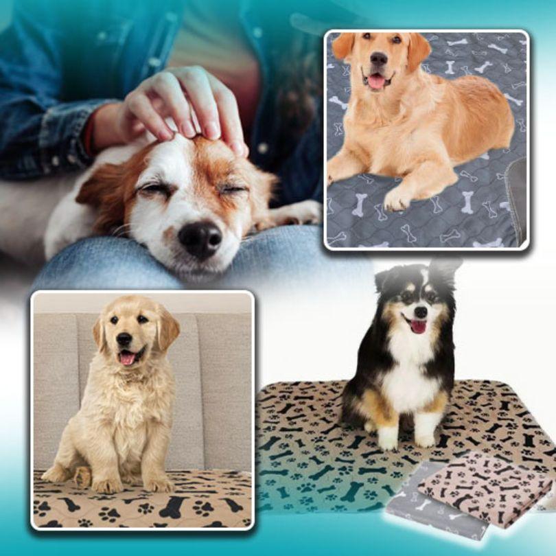 tapis pour chien|Footprint Bone™