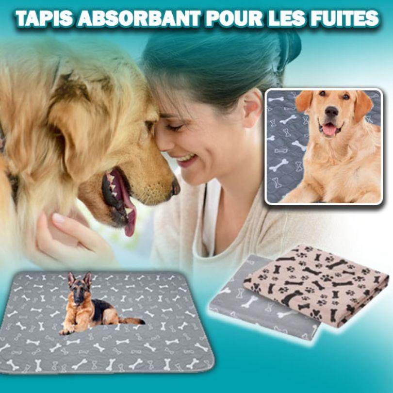 tapis pour chien|Footprint Bone™