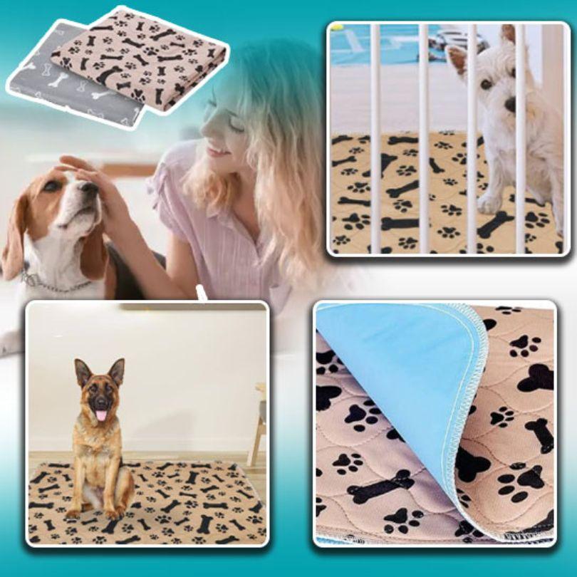 tapis pour chien|Footprint Bone™