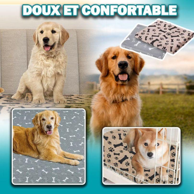 tapis pour chien|Footprint Bone™