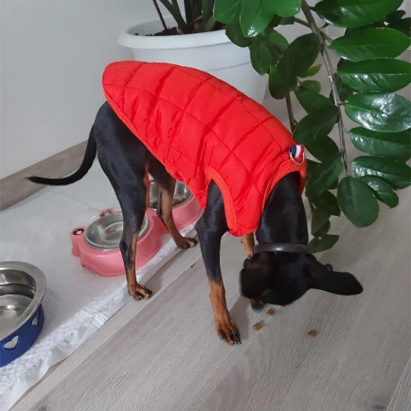 manteaux-pour-chien-winter-coat™-chien-rouge
