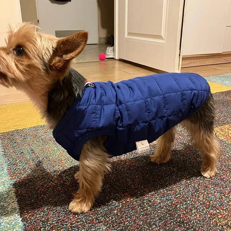 manteaux-pour-chien-winter-coat™-bleue-chien